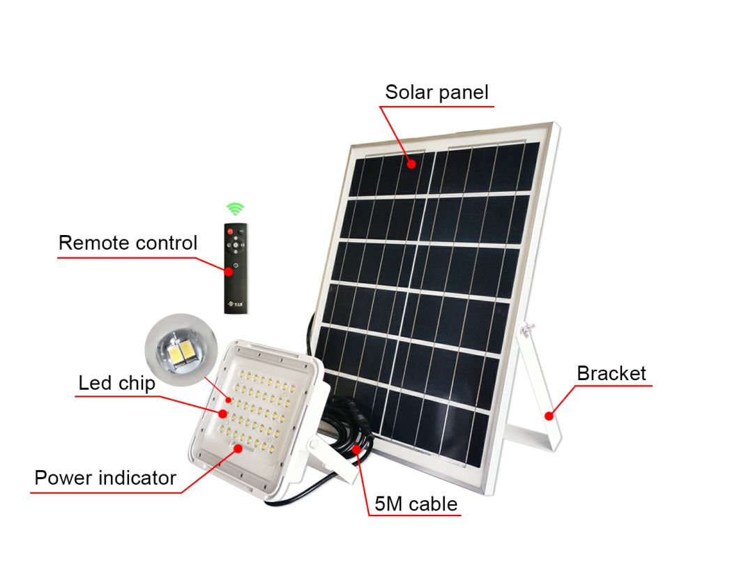 115-117 floodlight